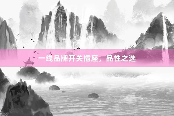 一线品牌开关插座，品性之选